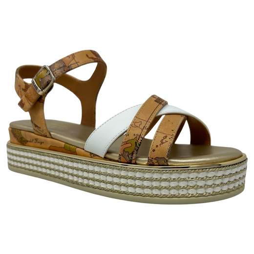 ALVIERO MARTINI 1 CLASSE 1875 0371