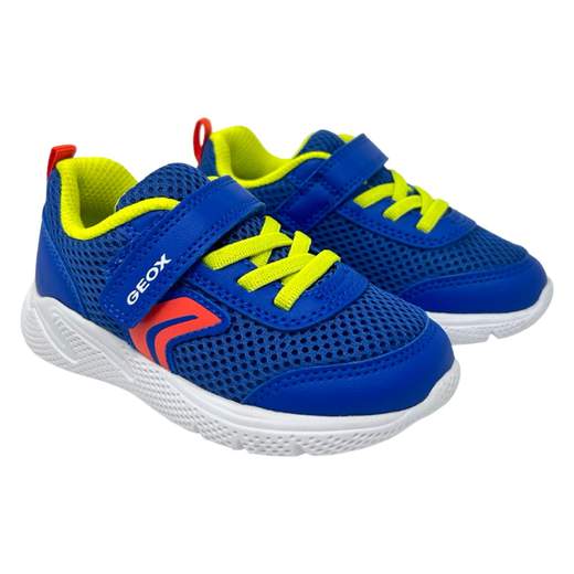 GEOX B454UC green