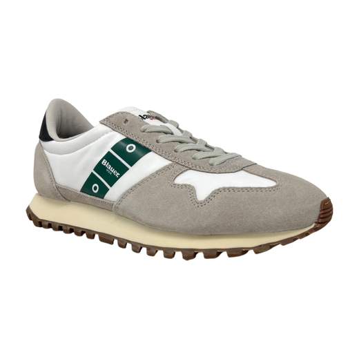 BLAUER S3DAWSON02/NYS