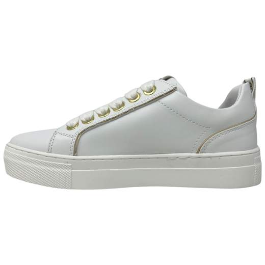 PACIOTTI 4US 42361