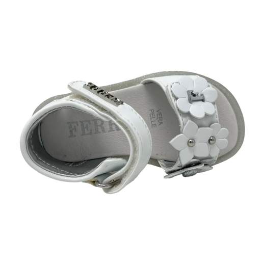 FERRE FB-160