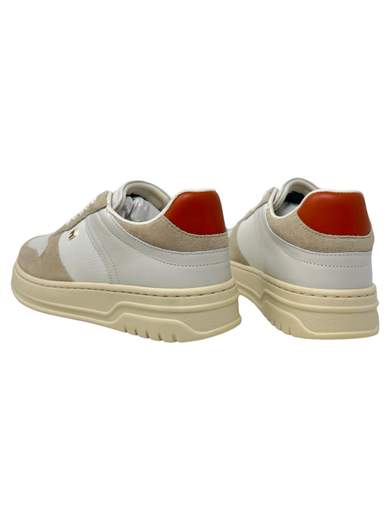 TOMMY HILFIGER W08796