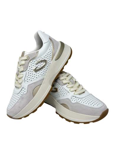 GUARDIANI GL61502A