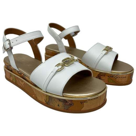 ALVIERO MARTINI 1 CLASSE N1880 0371