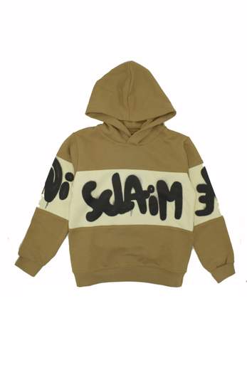 Disclaimer 25IDK58683