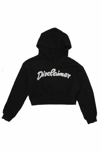 Disclaimer 25IDK58706