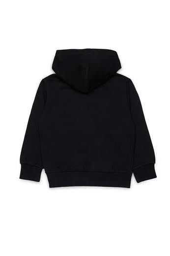 Diesel J02485