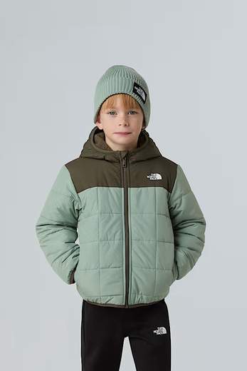 The North Face NF0A88VH