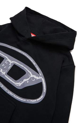Diesel J02487