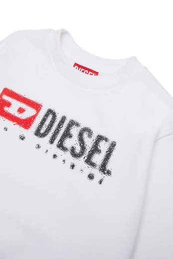 Diesel J02483