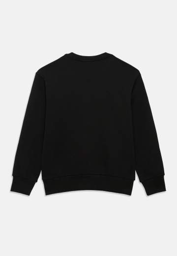 Diesel J02629