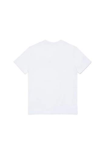 Diesel J02475