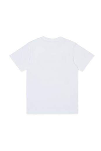 Diesel J02476