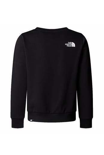 The North Face NF0A8AXY