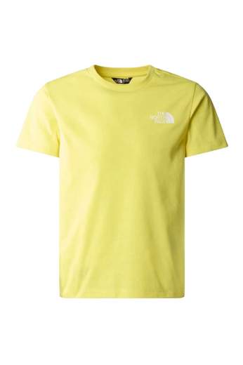 The North Face NF0A87T4G60