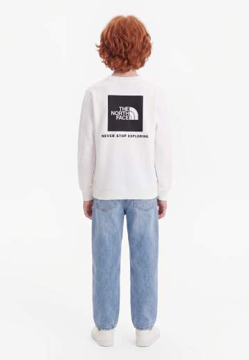 The North Face NF0A8F9WFN4