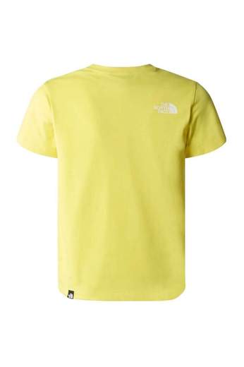 The North Face NF0A87T4G60