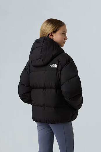The North Face NF0A88UD