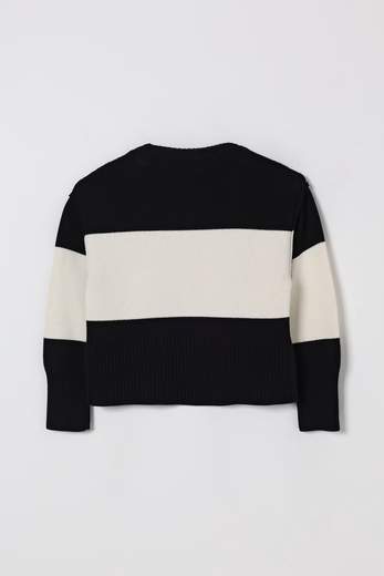 Disclaimer 25IDK58724