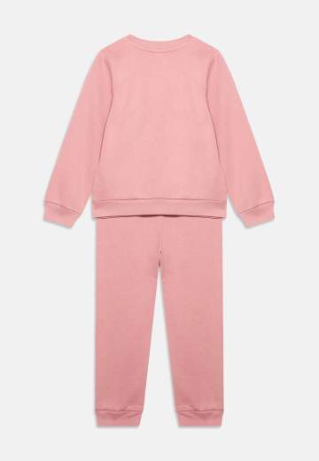 The North Face NF0A8H5CN09