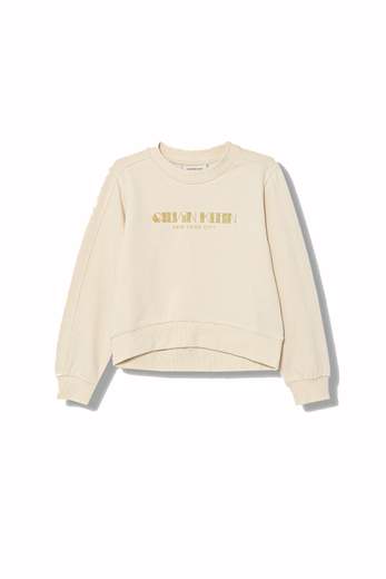 Calvin Klein IG0IG03069