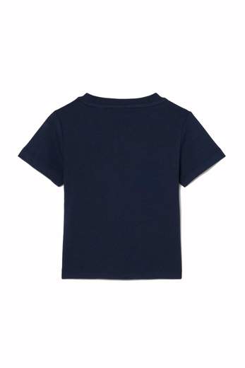 Lacoste Bambino T-shirt Basic Con Logo.