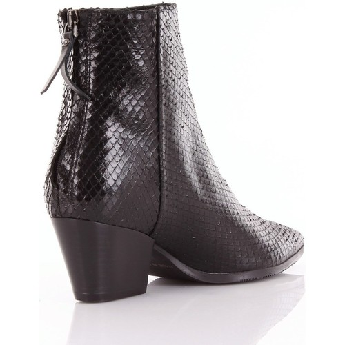 EVALUNA 5520LIZZARD