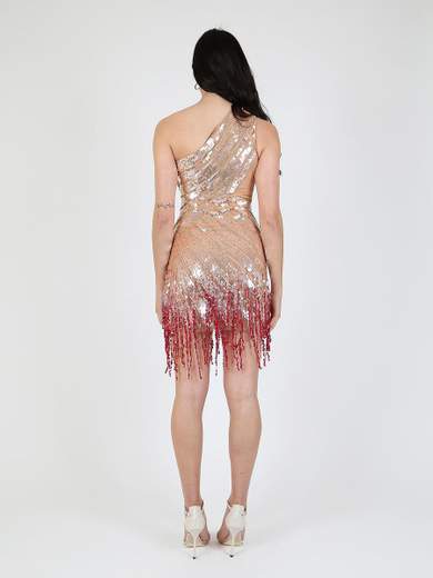 ELISABETTA FRANCHI AR22J93E2