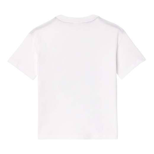 Lacoste T-shirt Autunno/inverno
