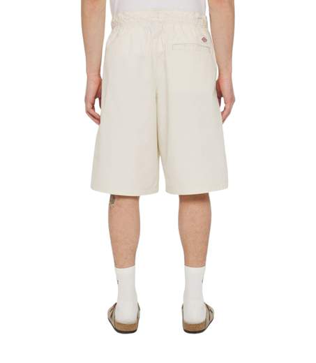 Dickies Shorts
