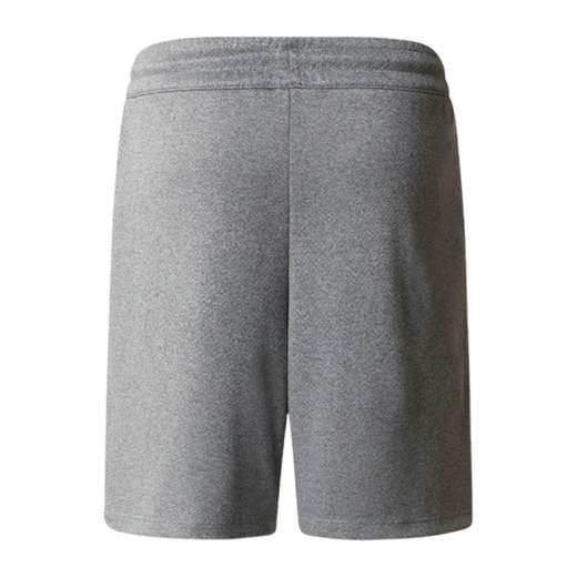 The North Face Shorts
