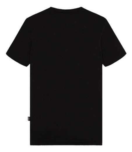 Dickies T-shirt Autunno/inverno