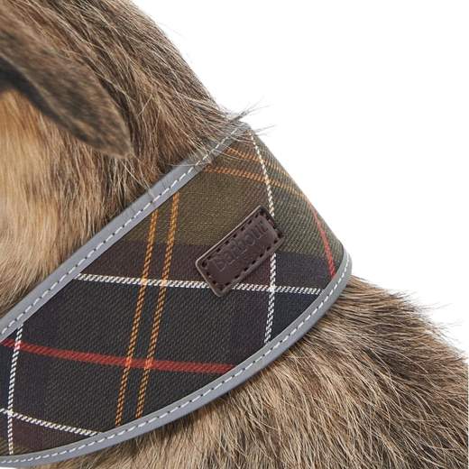 Barbour Collare Autunno/inverno