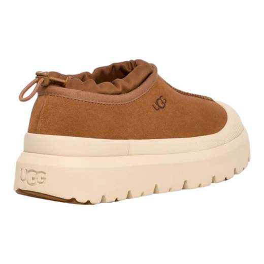 Ugg  Autunno/inverno