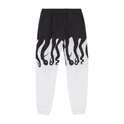 Octopus Pantalone