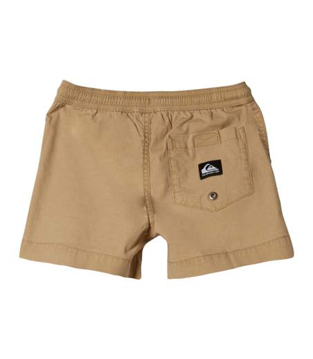 Quicksilver Shorts