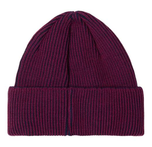 POLAR SKATE CO. BEANIE