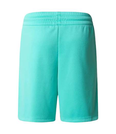The North Face Shorts