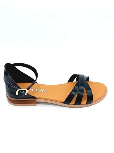 TALEA TALEA811