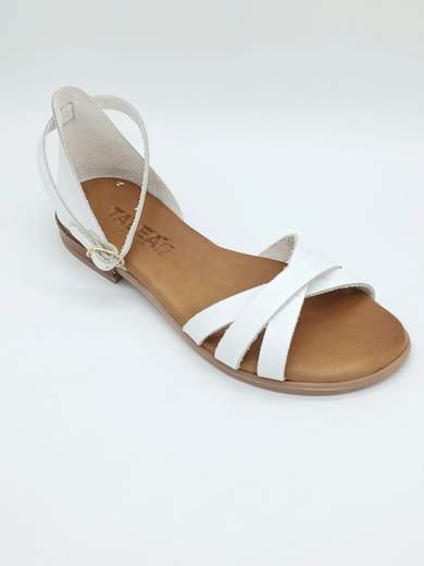 TALEA TALEA811