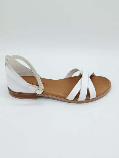 TALEA TALEA811