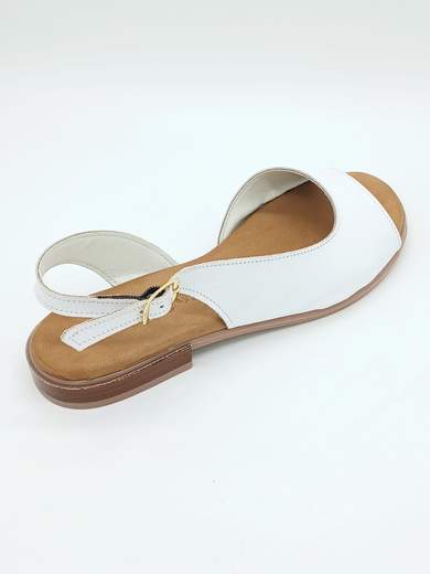 TALEA TALEA808