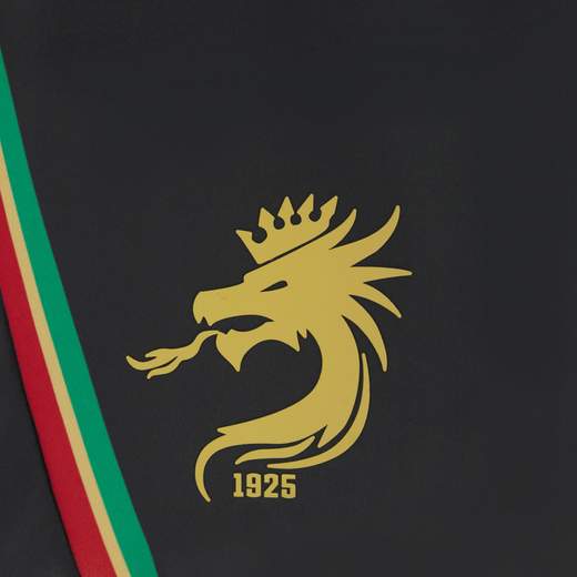 TERNANA STORE 60012098