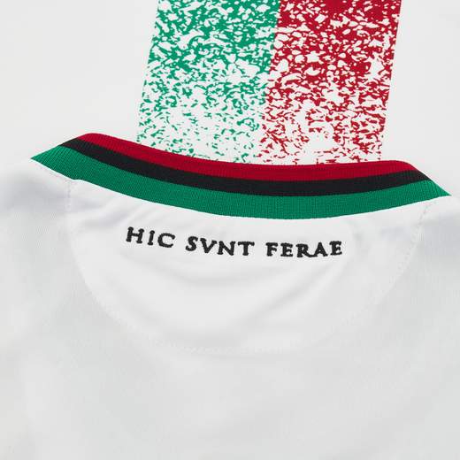 TERNANA STORE 58585395