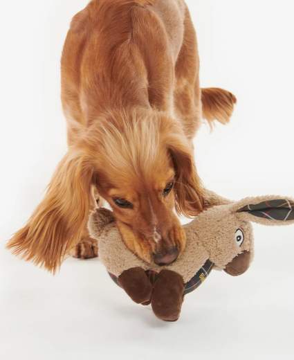 RABBIT DOG TOY