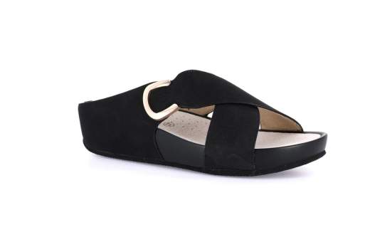 Grunland CI1580