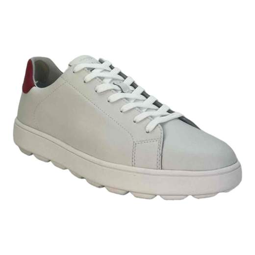 Geox Sneakers Uomo