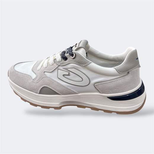 Alberto Guardiani GM61032A