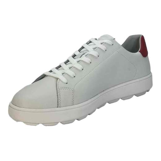 Geox Sneakers Uomo