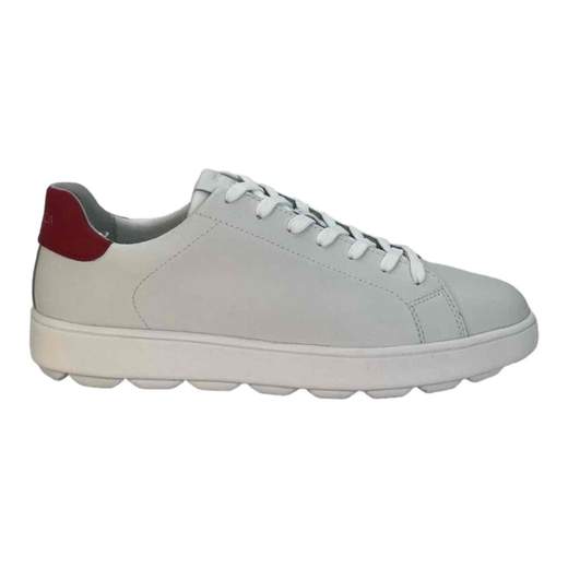 Geox Sneakers Uomo